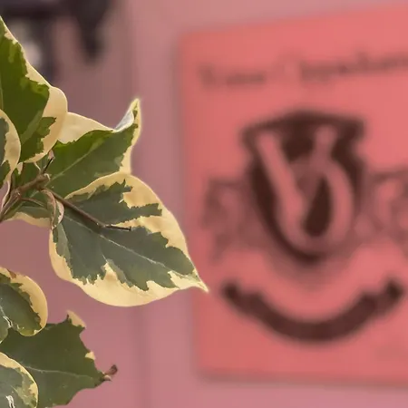 Vetus Oppidum Boutique