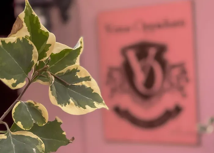 Vetus Oppidum Boutique